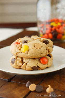 Gastrogirl:  Colossal Reese’s Pieces Chocolate Chip Cookies. 