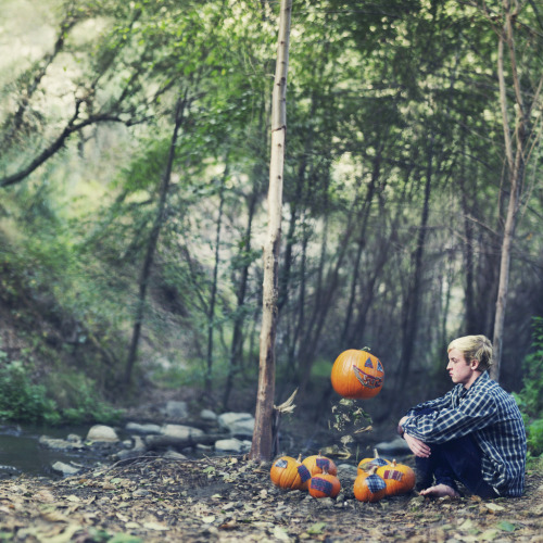 Problematic pumpkin patches. (by David Talley)