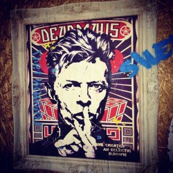 Bowie, Padua (Italy) (Scattata con Instagram