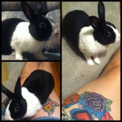 Happy Easttaaa 🐰 #Bunny #Tattoos #Baby  (Taken With Instagram)