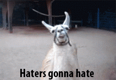 I lost one follower...