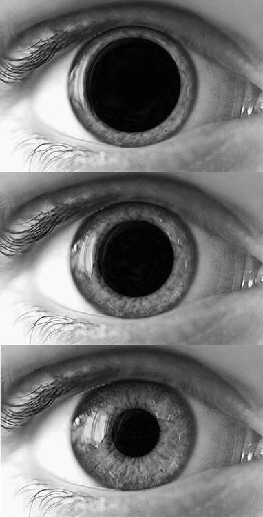 troioikelley.tumblr.com/post/36380254730/