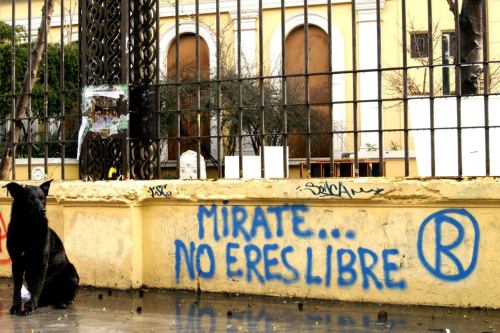 benditokaos:  Pero quién es libre realmente en estos días? 