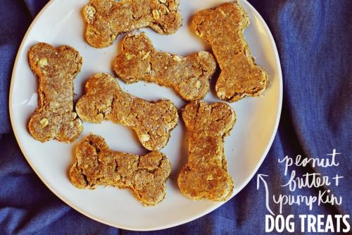 DIY Easy Peanut Butter Pumpking Dog Safe Treats from A Beautiful Mess here. *For more pet tutorials 