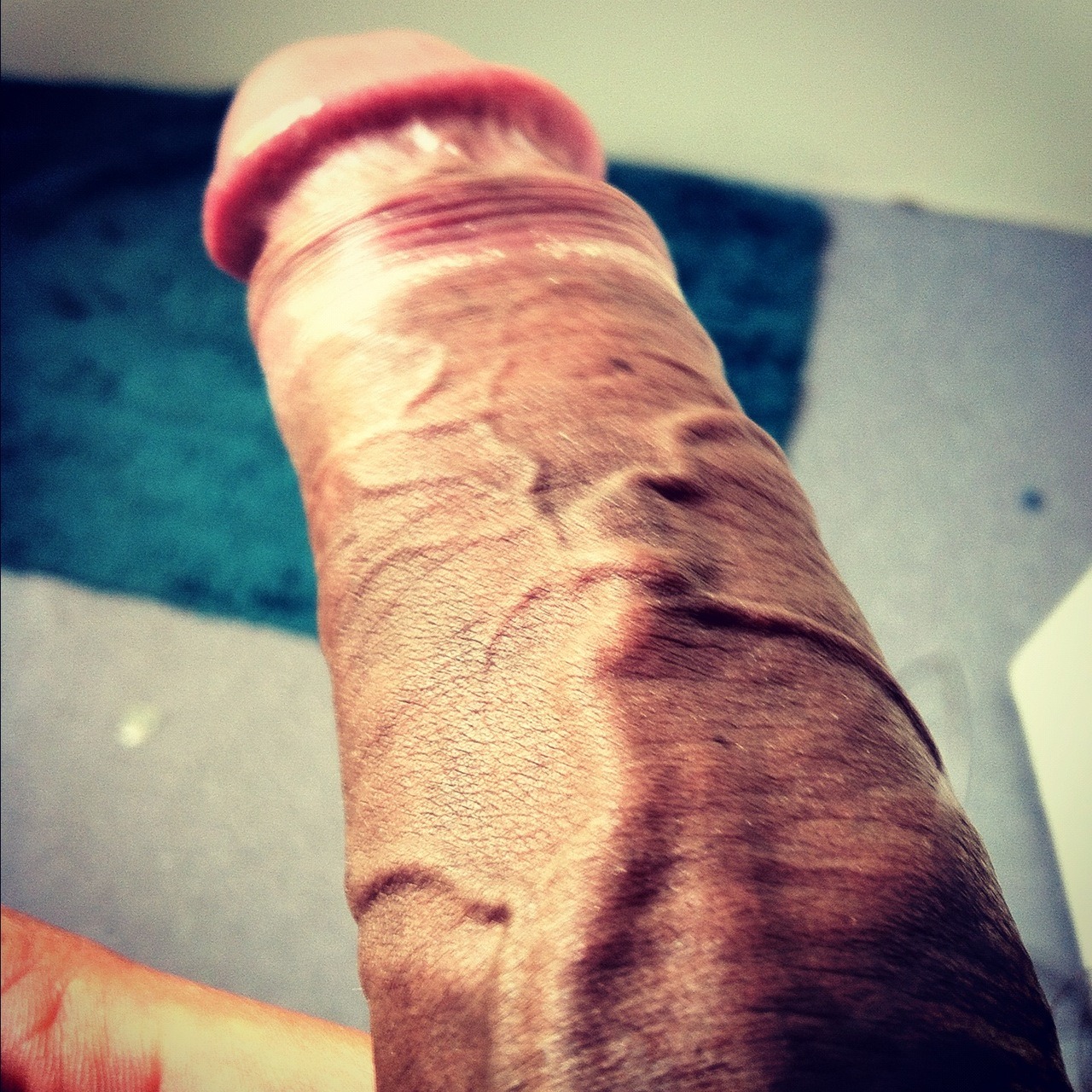 dmzass:  viens2