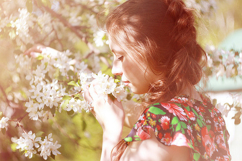 Just Dream