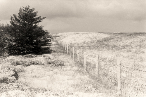 estimfalos:  Cold summers