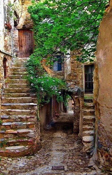 bluepueblo:Ancient Passageway, Provence, Francephoto via carolineCan I just … go live somepla