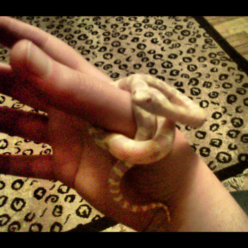 farsnakes: Moya being the adorbs. reminder of what a cutie tiny bean this girl was (and still is).