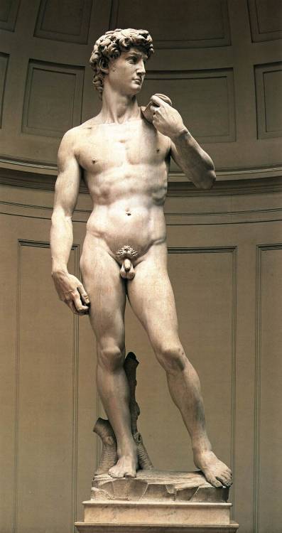 Michelangelo s david