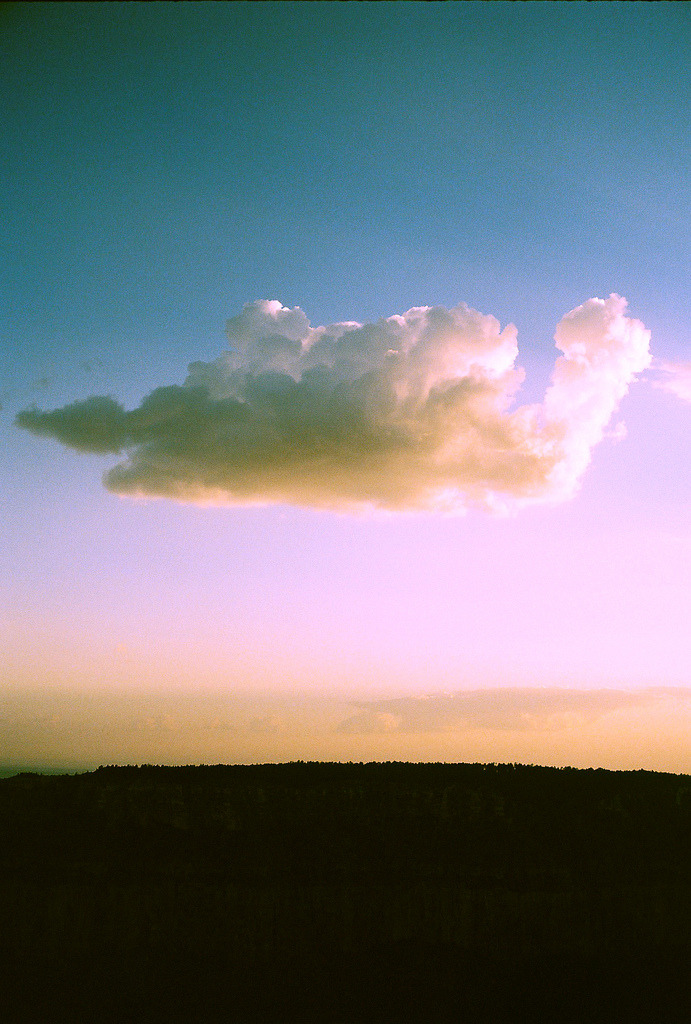 domolii:  landscapo:  nick hopper  (via imgTumble)