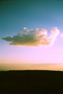 domolii:  landscapo:  nick hopper  (via imgTumble)