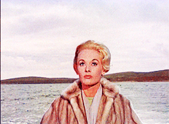 tracylord:  250 Films Meme | 162 | The Birds (1963) ↳ Favourite 46/50 