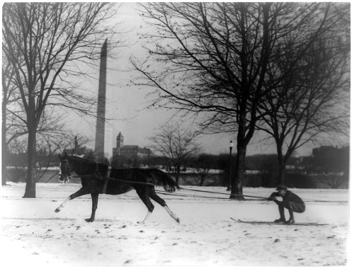 vintageski:Man on skis being pulled by horse with Washington Monument in the background, 1919.