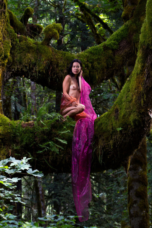ebimaging:Sonoko in a Tree  Aug 2012