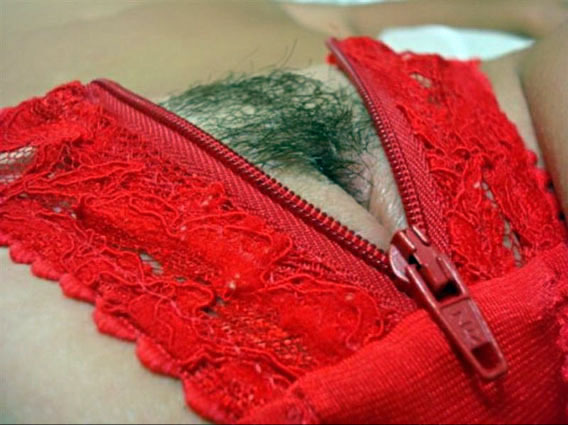Gatas Brasileirinhas