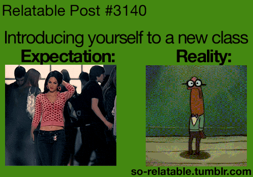 the-absolute-best-posts:  This is a great blog to follow, seriously   Hahaha Meep