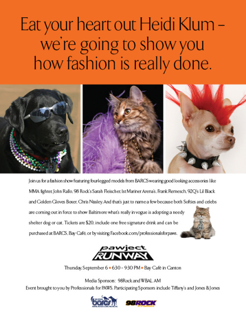 http://baltimoreanimalshelter.org/pawject-runway/