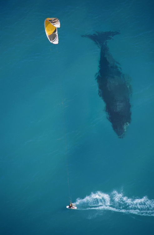 dawnawakened:size matters