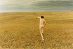 ryanmcginley:  Running Field, 2007 