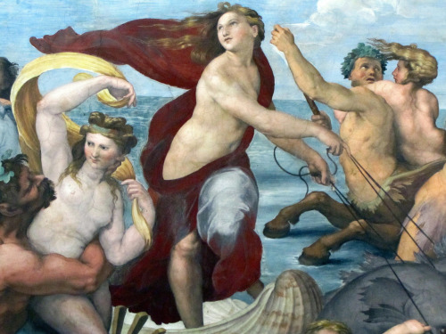 artpedia:Raphael - Galatea, c. 1513. Fresco at Villa Farnesina, Rome