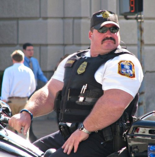 daninrenton:Hot motor bull. One big boy!  The next asshole with a donut joke I&rsquo;m gonna squ