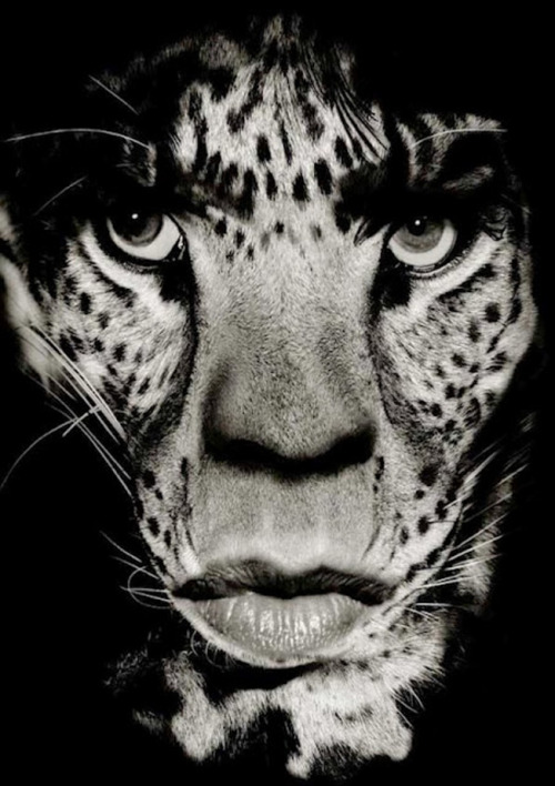 peoplewithcats:  Mick Jagger by Albert Watson porn pictures