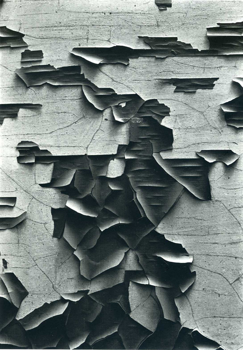caught-in-daze: Aaron Siskind