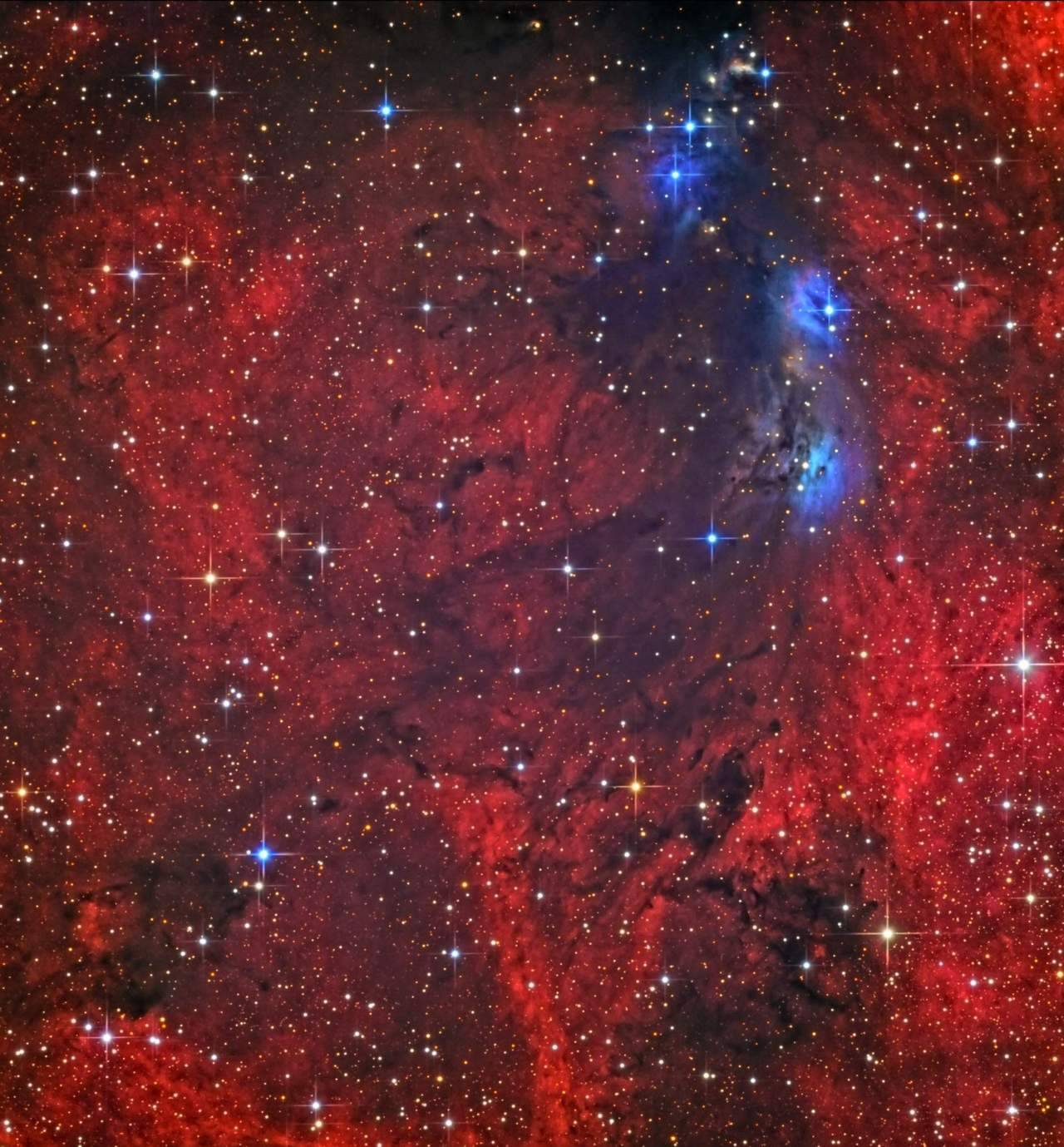 ikenbot:
“ NGC6914: At the Heart of the Swan
A tangle of nebulae and stars in the heart of Cygnus, between July 24 and August 25. A brilliant blanket of red emission nebulae encompasses an intricate web of reflection nebulae of varying shades of...