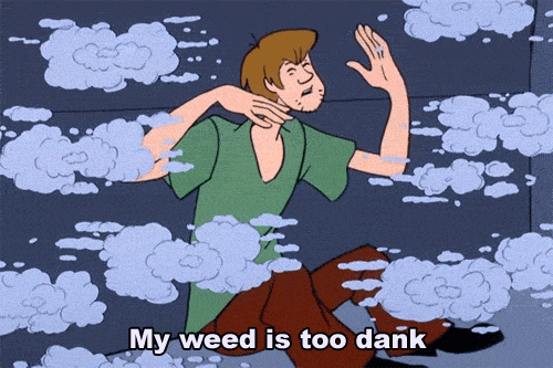 pakotaco:  My weed is too dank!