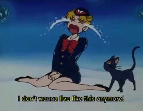 Sailor Scouts Transform!