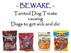 thisisnotokgroup:  Killer dog treats. We