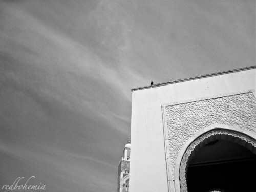 Arabesque Arch at Hassan II Mosque in Casablanca, Morocco | IslamicArtDB