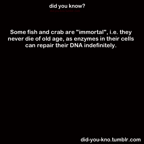 did-you-kno:  Source