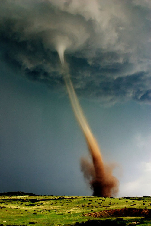 Beauty In Destruction - Imgur