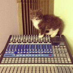 optimus-strut:  just had my mixing desk come