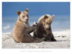 magicalnaturetour:  Toy by nikzinoviev :)