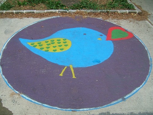 Spotted in Flushing Meadows Corona Park near the Hall of Science. I like to think it of it as the Bluebird of Queens Love and Happiness.