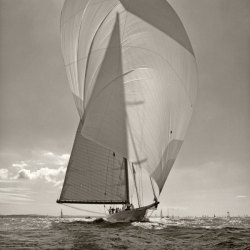 The Beauty Of Sail.