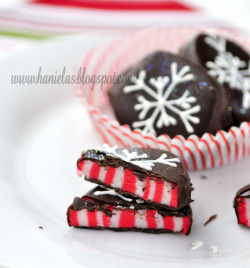 gastrogirl:  homemade candy cane peppermint