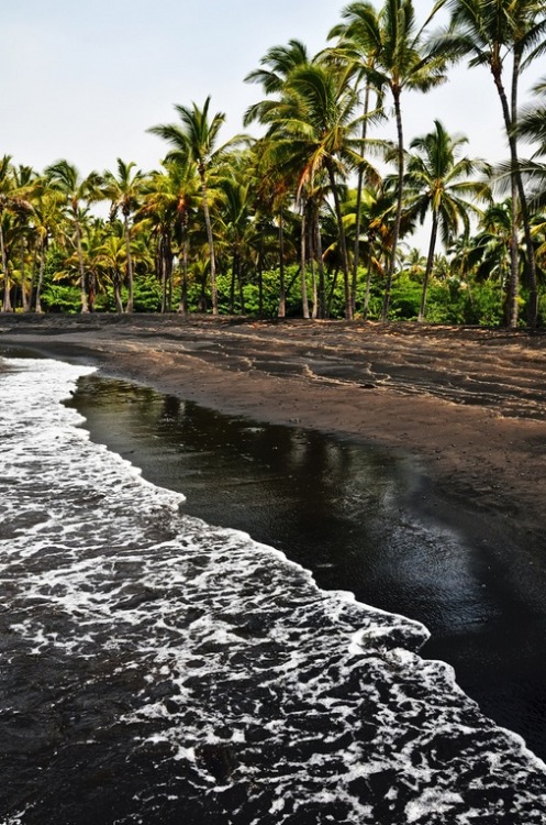 notorious-art:  Blacksand always more exotic