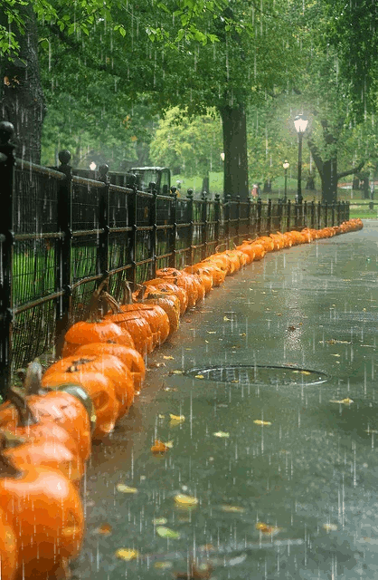 cravehiminallways212:  Take a walk with me, love…no umbrella…💋  Gladly💋