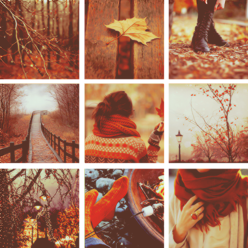 the-absolute-best-posts:  drowning-in-ennui: fall is my fave &lt;3