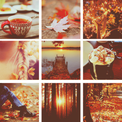 the-absolute-best-posts:  drowning-in-ennui: fall is my fave &lt;3