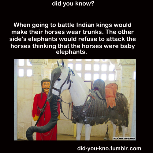 did-you-kno:  Source