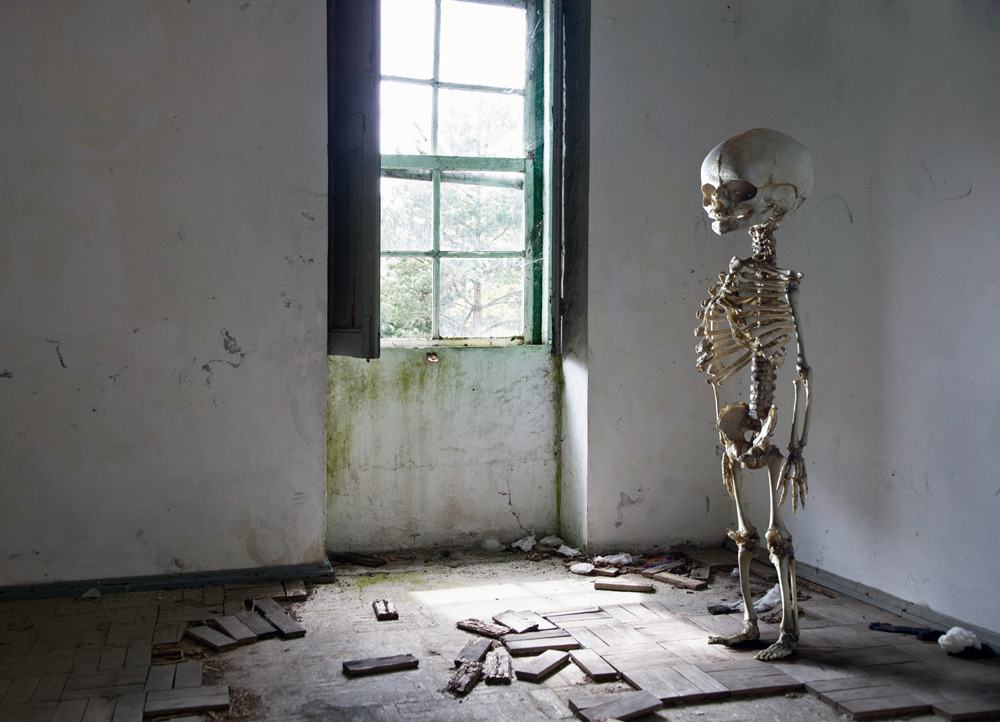  Skeletons of questionable origin in a variety of domestic and human settings, arranged