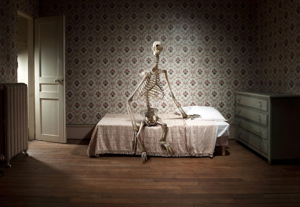  Skeletons of questionable origin in a variety of domestic and human settings, arranged