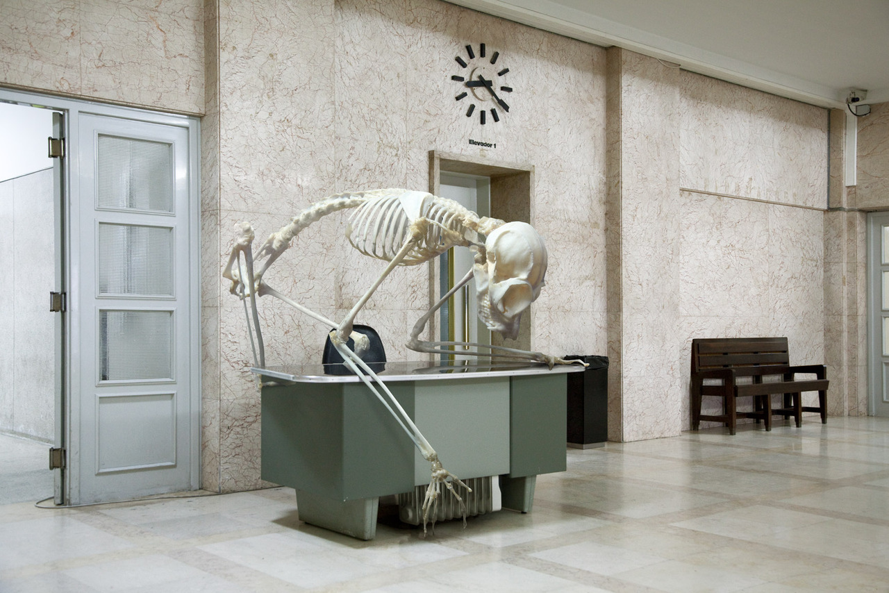  Skeletons of questionable origin in a variety of domestic and human settings, arranged