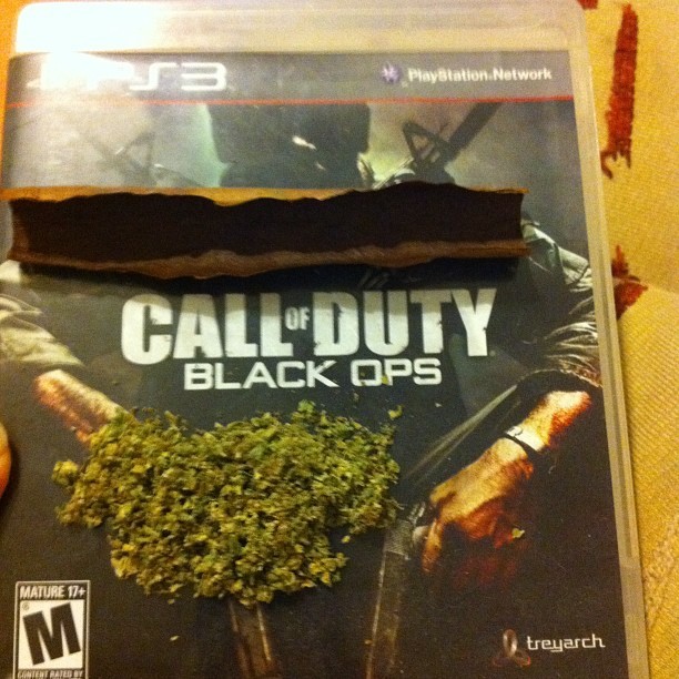 theleftway:  @carlbeanz #wfayo #blackops #kush #weed #420 #bakedbitches #girlswhoroll