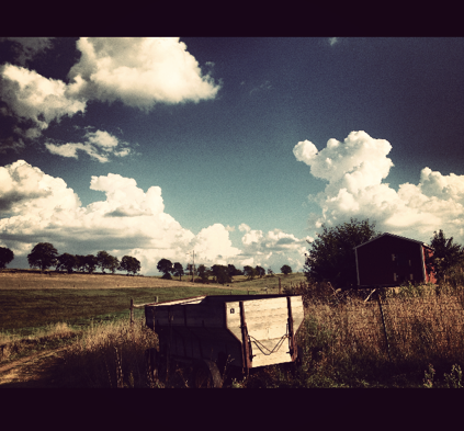 shot at the most beautiful farm today in monroe, wisconsin.  three days, three different farms. 